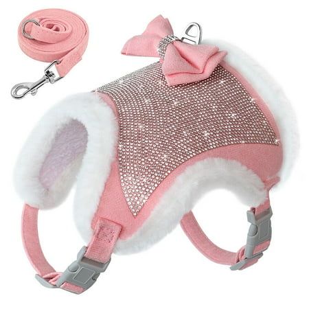 pet accessories